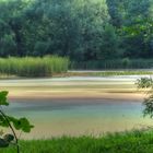 Zanderteich treibt es bunt I