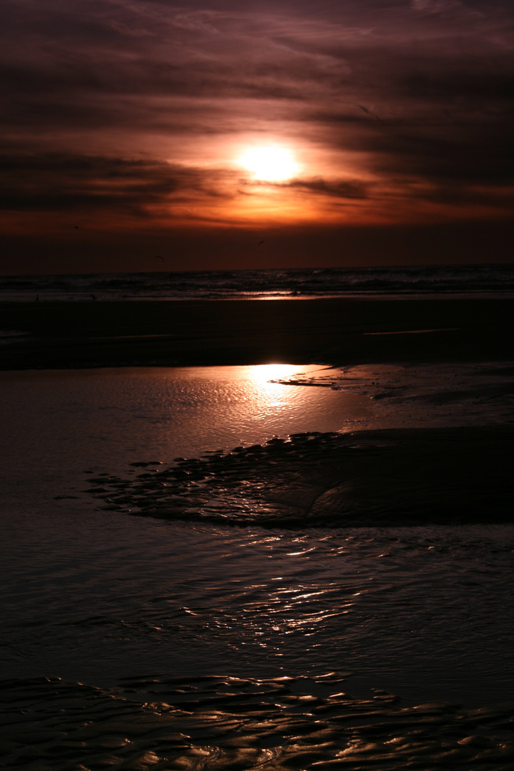 Zandfoort am Strand (NL.)