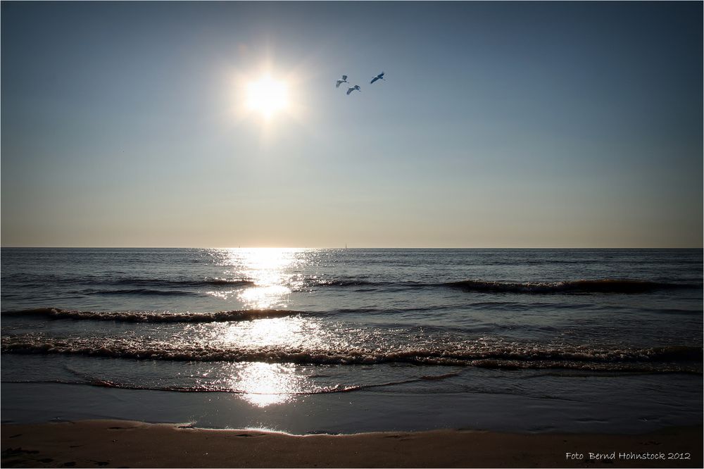 Zandvoort ......