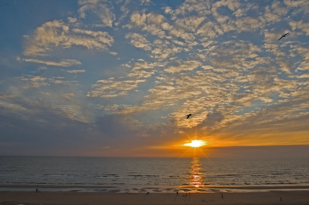 Zandvoort