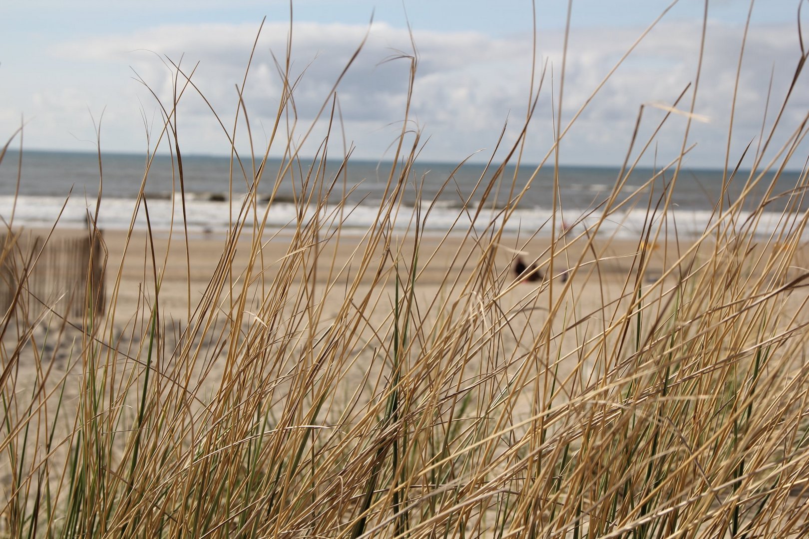 Zandvoort