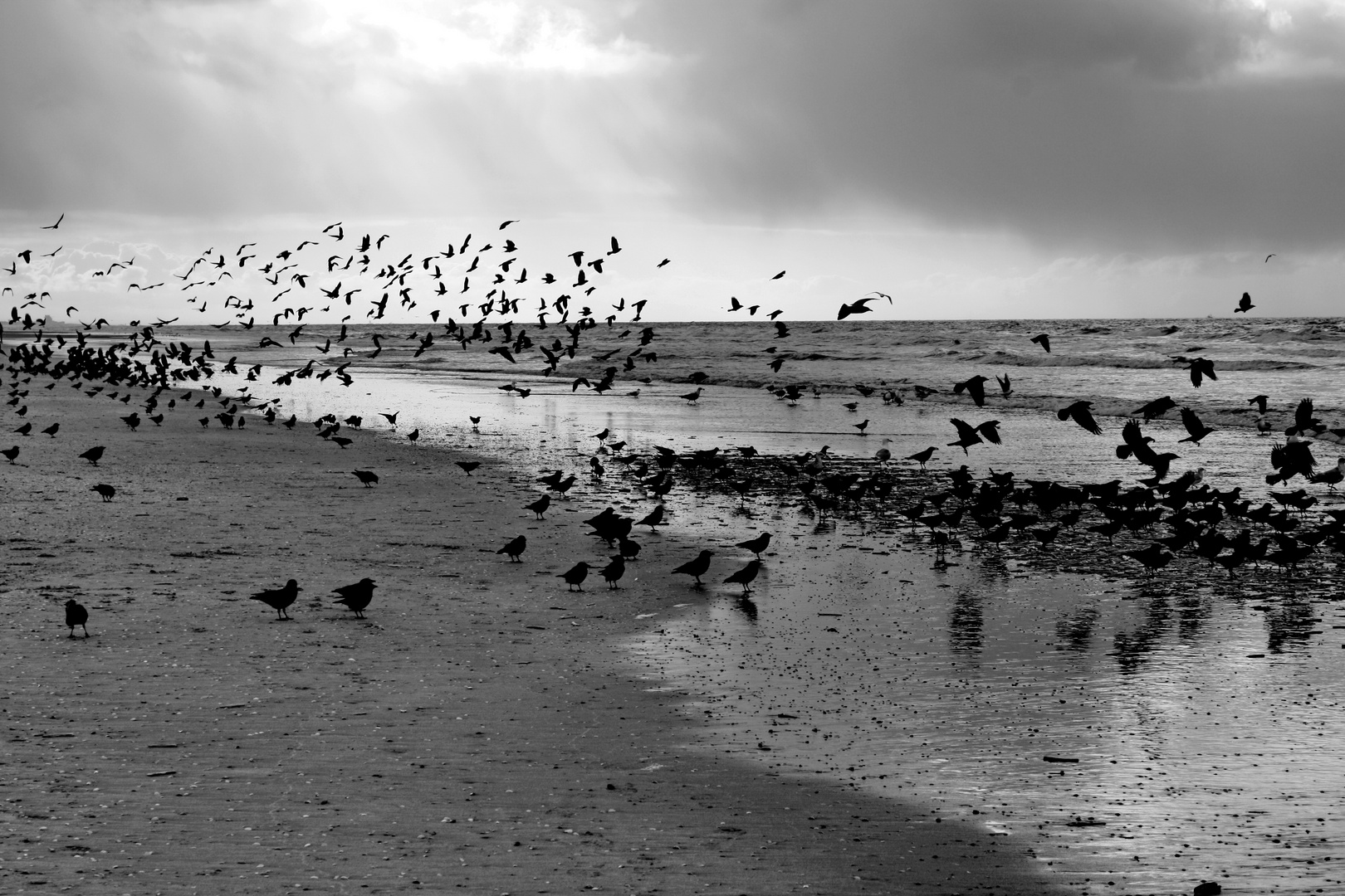 Zandvoort aan Zee