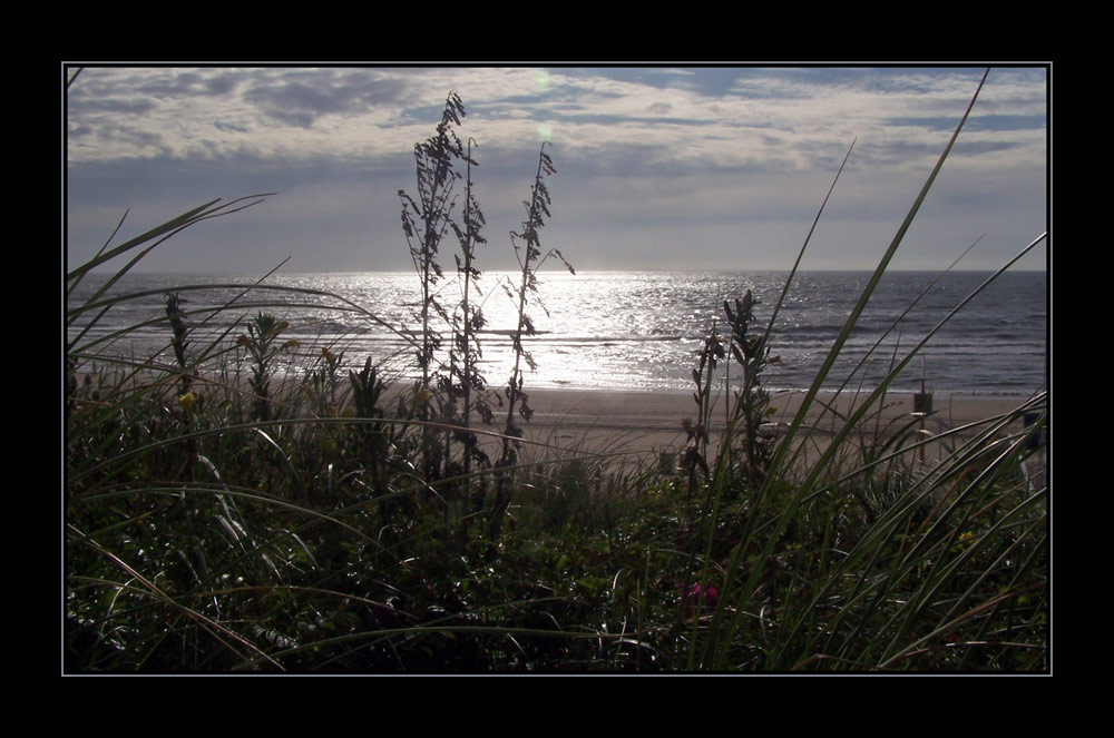 * * * Zandvoort am Samstag abend * * *