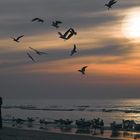 Zandvoort im Herbst