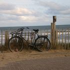 Zandvoort NL