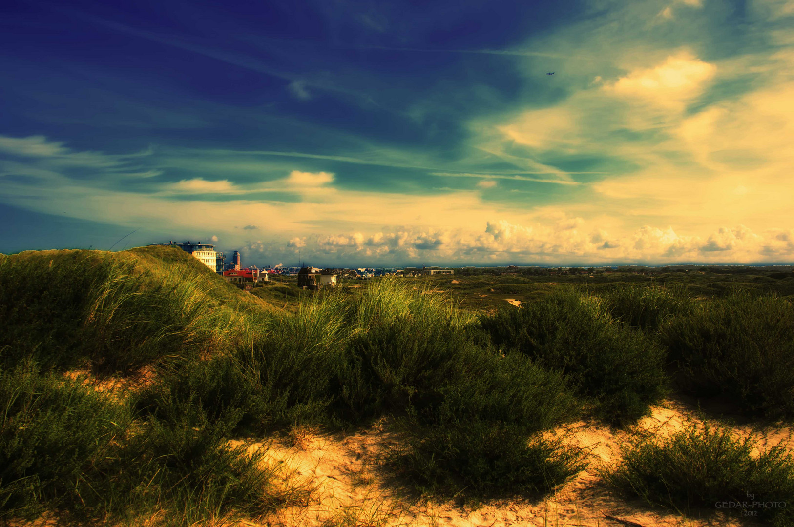 Zandvoort -NL (Dünen) II