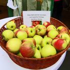 Zankäpfel - Oder wenn  Äpfel einen Korb bekommen