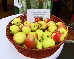 Zankäpfel - Oder wenn  Äpfel einen Korb bekommen