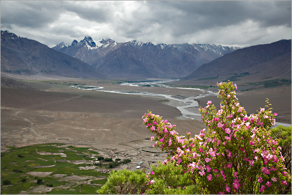 Zanskar Valley