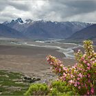 Zanskar Valley