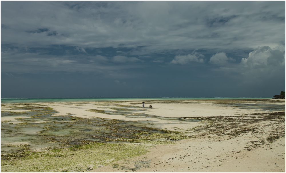 Zanzibar