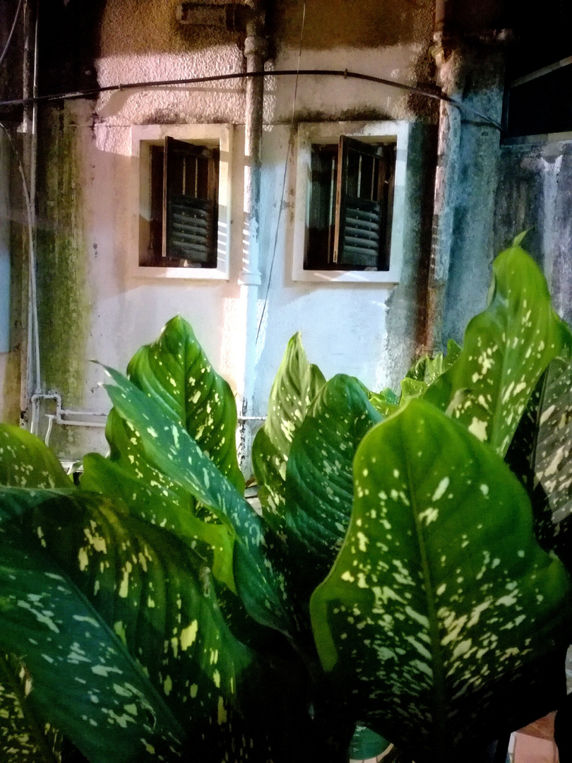 Zanzibar at night