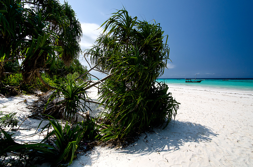 Zanzibar Beach