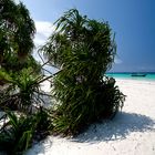 Zanzibar Beach