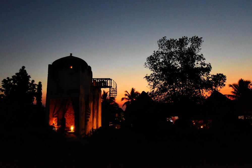 Zanzibar Chuini Ruins