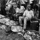 Zanzibár in BW_10.: The fish market