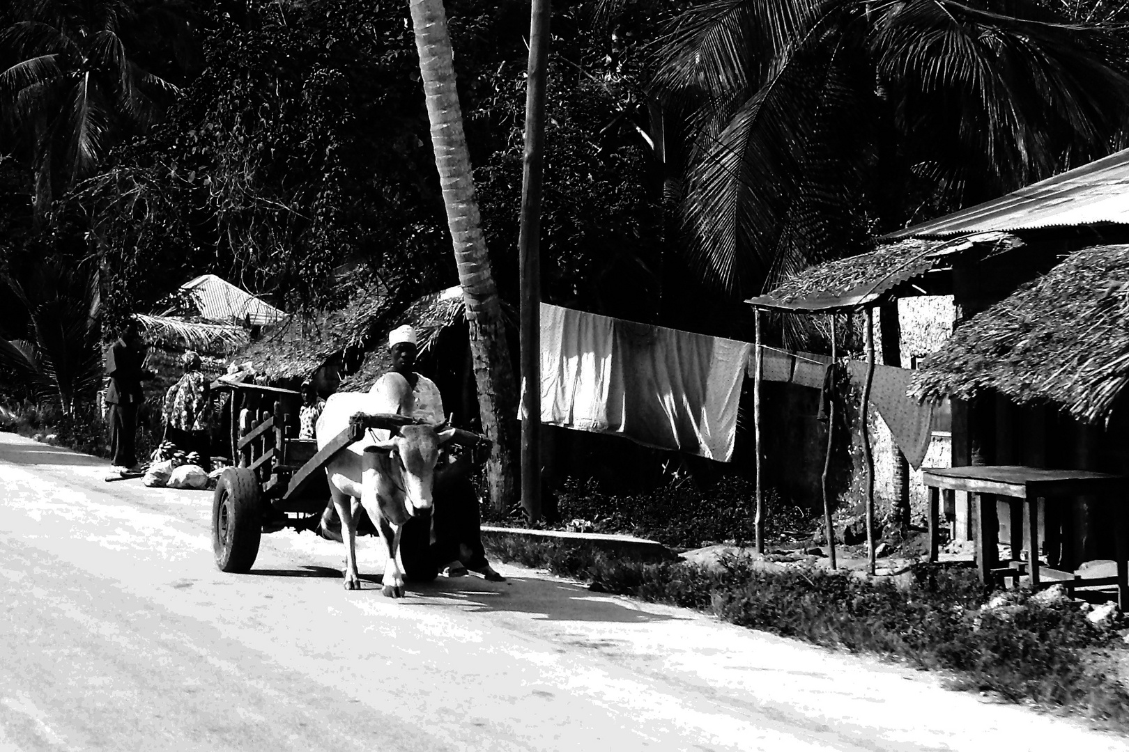 Zanzibár in BW_4.: Going to work