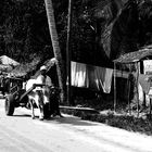 Zanzibár in BW_4.: Going to work