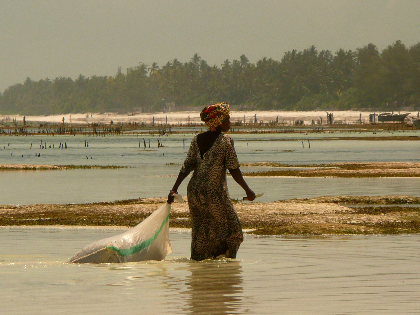 Zanzibar life 2