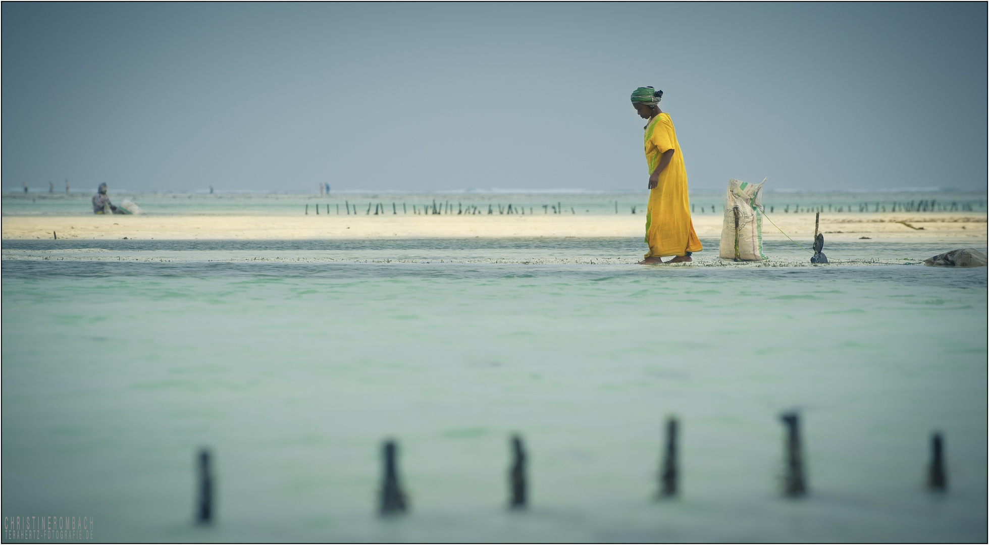 zanzibar people VII