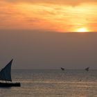 zanzibar stadt sunset