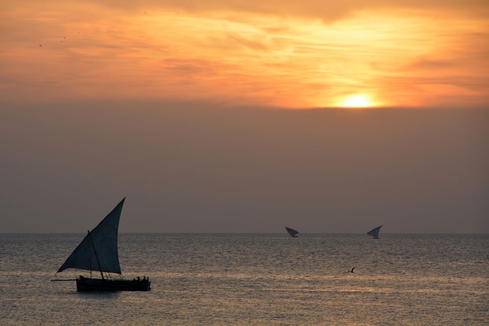 zanzibar stadt sunset