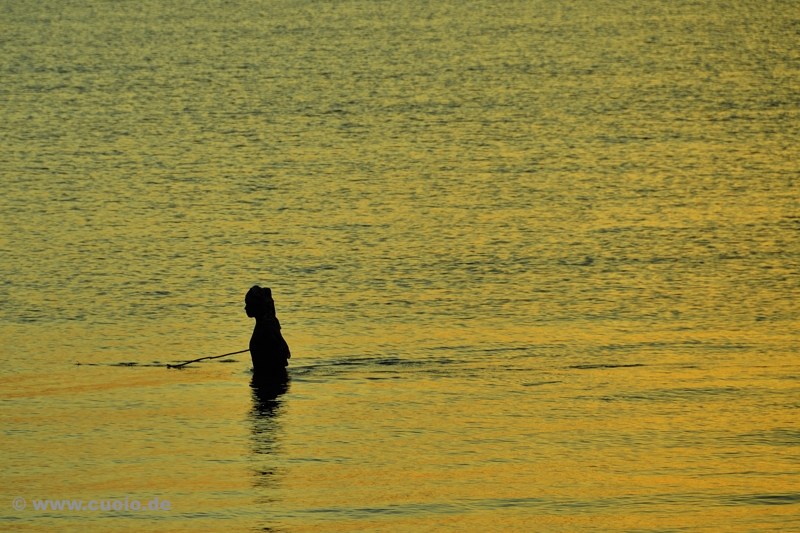 Zanzibar_Morning