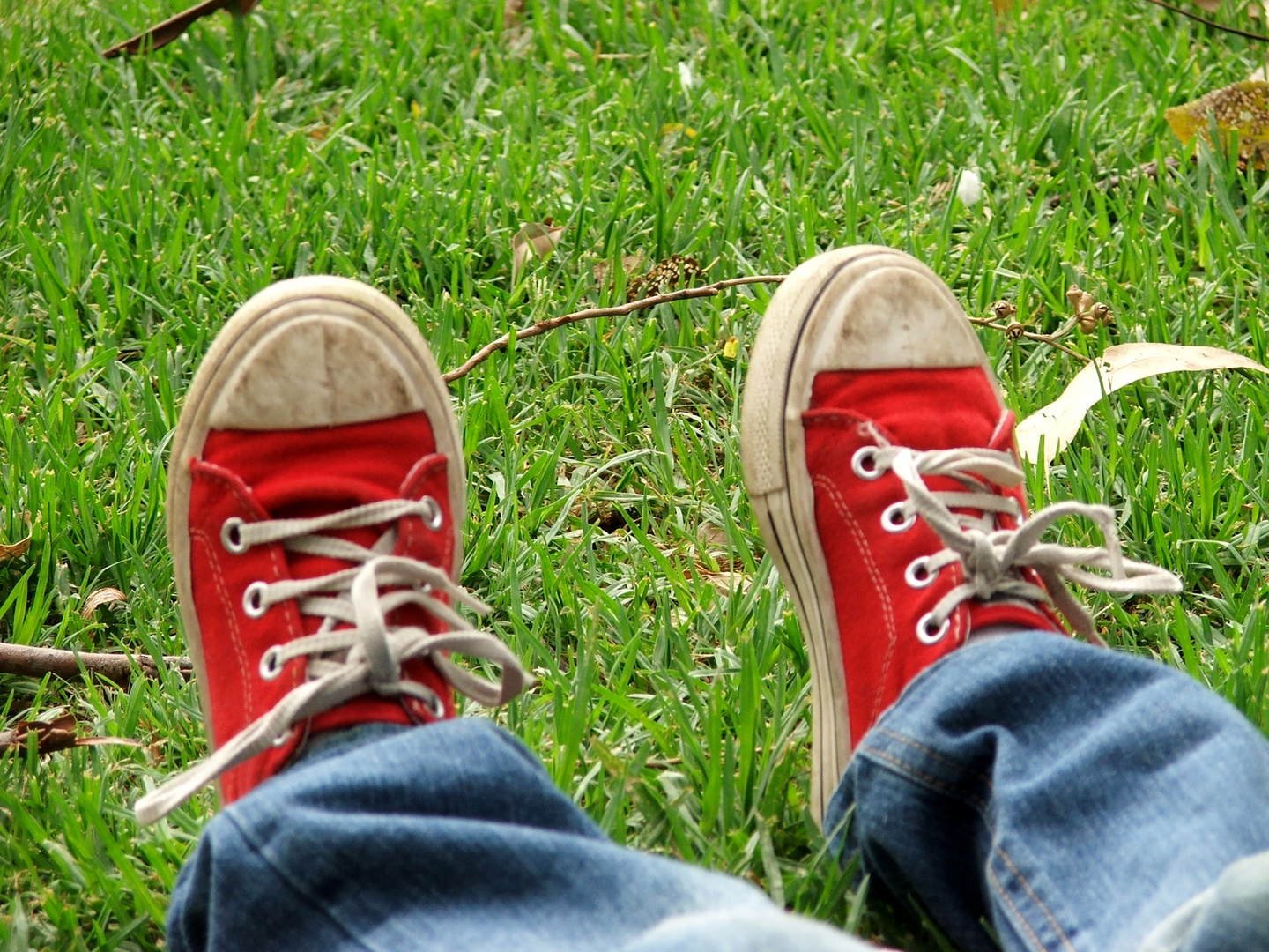 Zapatillas rojas