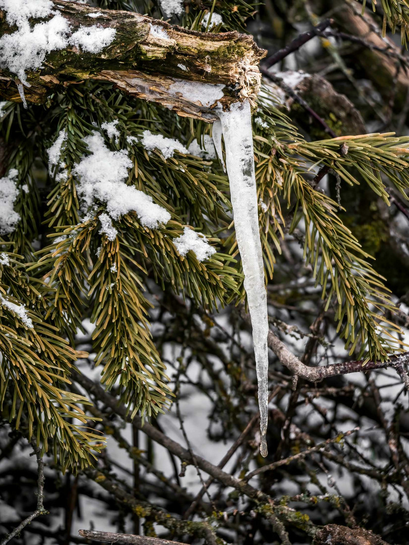 "ZAPFEN - EISZAPFEN"