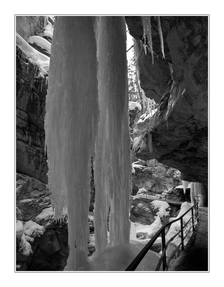 Zapfenpracht Breitachklamm