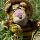 User Profile Photo