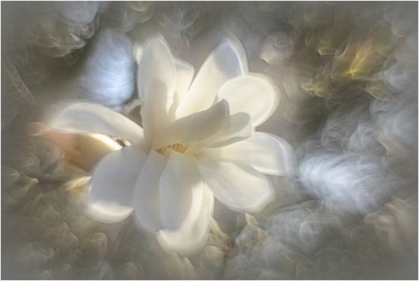 Zart in den Frühling