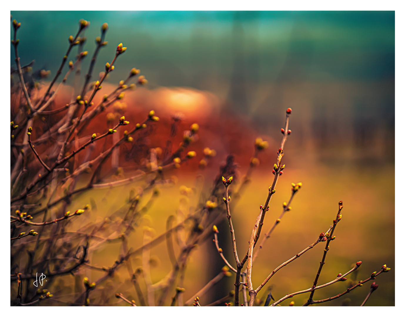 Zarte Bande und ihre starken Knospen