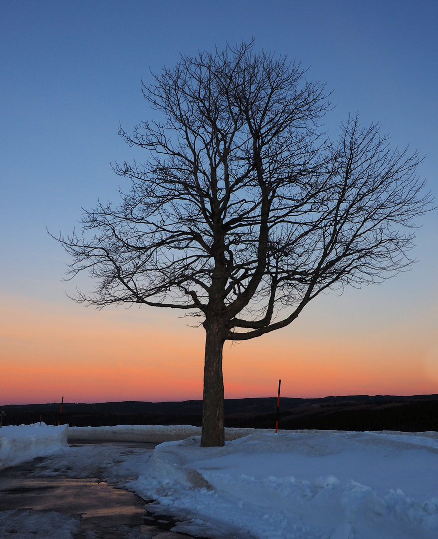 Zarte Farben ….