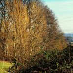 zarte Farben kommen in die Natur passend zum kalendarischen Frühlingsbeginn