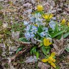 Zarte Farben zum Frühlingsbeginn