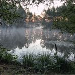 Zarte Morgenröte am Weiher