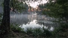 Zarte Morgenröte am Weiher