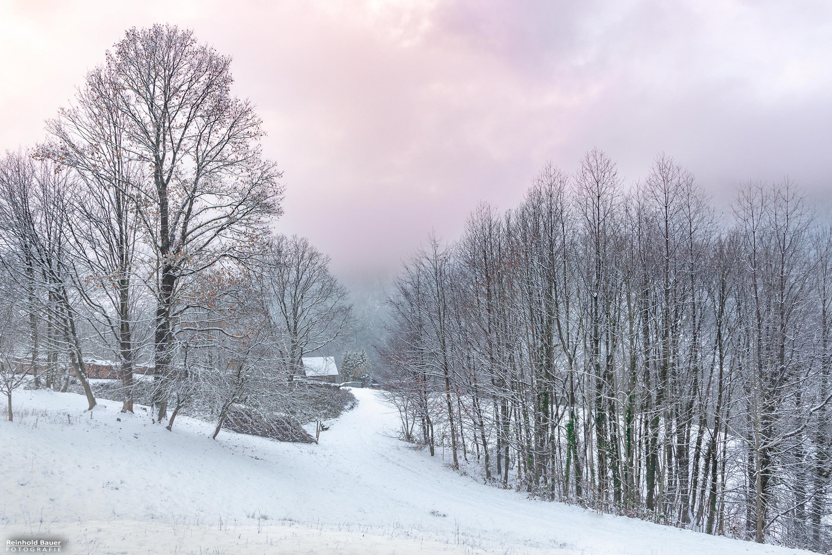 Zarte pastelle Winterstimmung