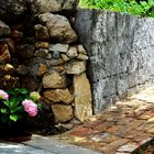 Zarte rosa Hortensien entlang der schönen Naturstein Mauern 