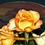 Zarte Rose in Glasvase