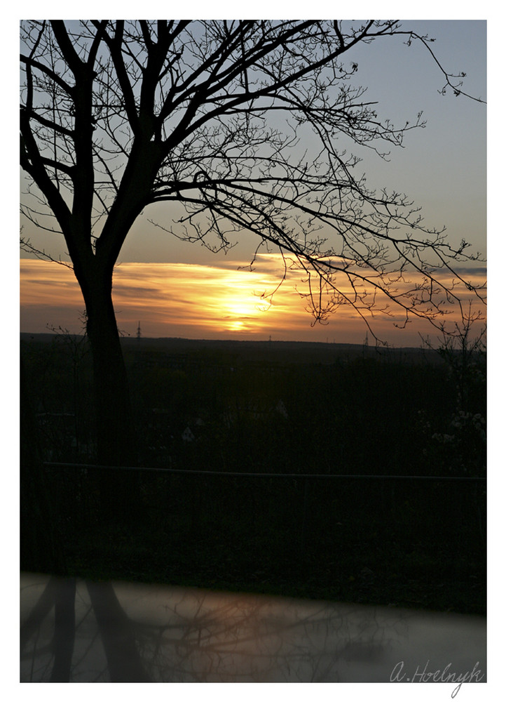 Zarte Umrisse im Sonnenuntergang von Annika Hölnyk