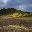 zarte Vegetation