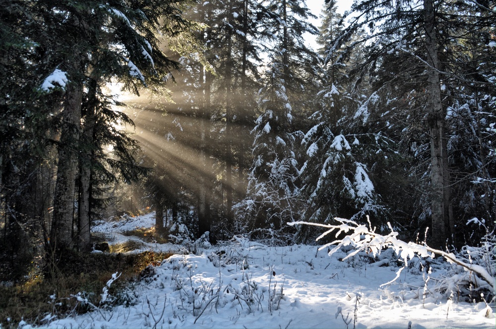 Zarte Versuchung, die Sonne zu erreichen