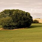 ... zarte Wolken hinter grüner Insel ...