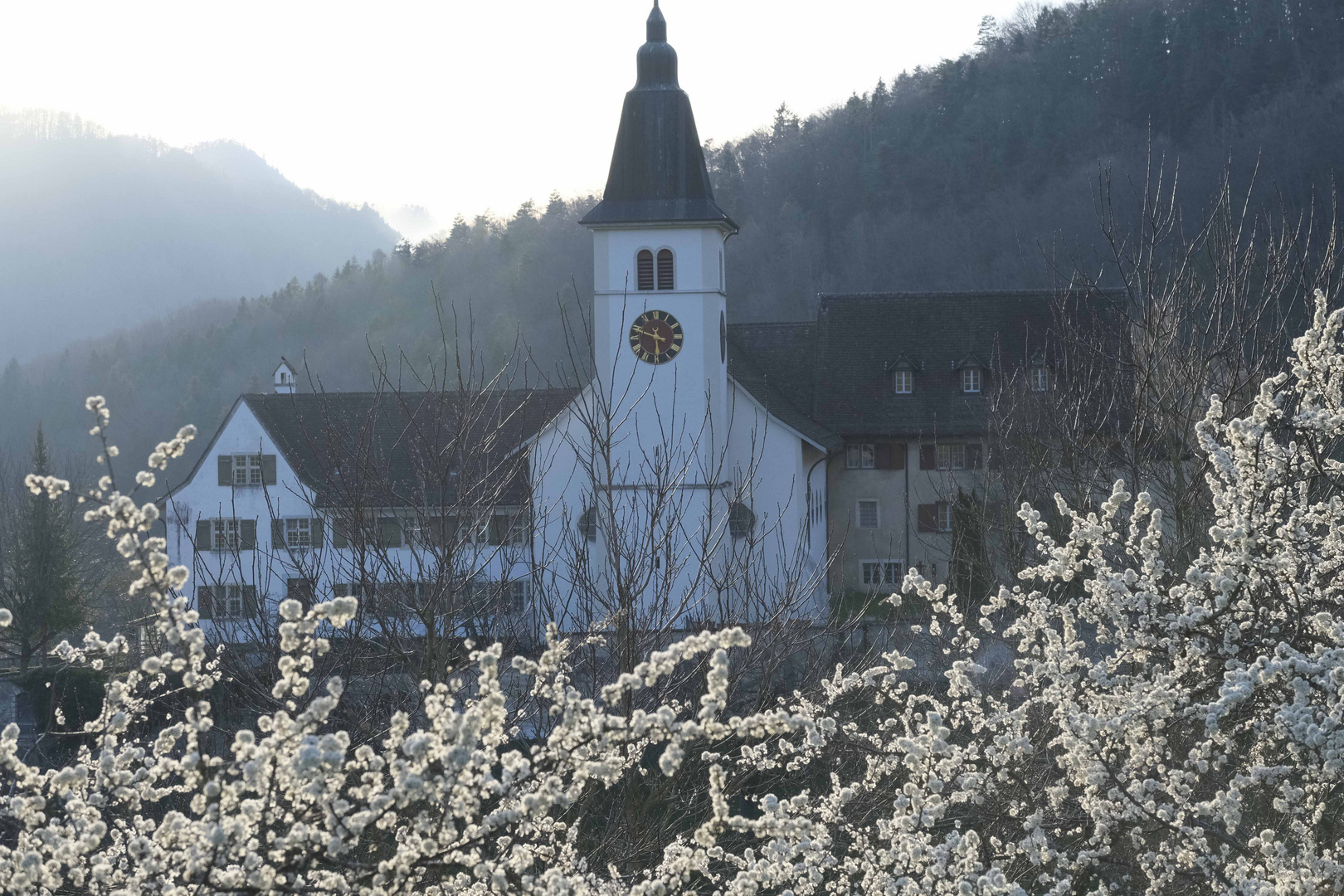Zarter Frühling Kloster Beinwil
