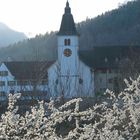 Zarter Frühling Kloster Beinwil