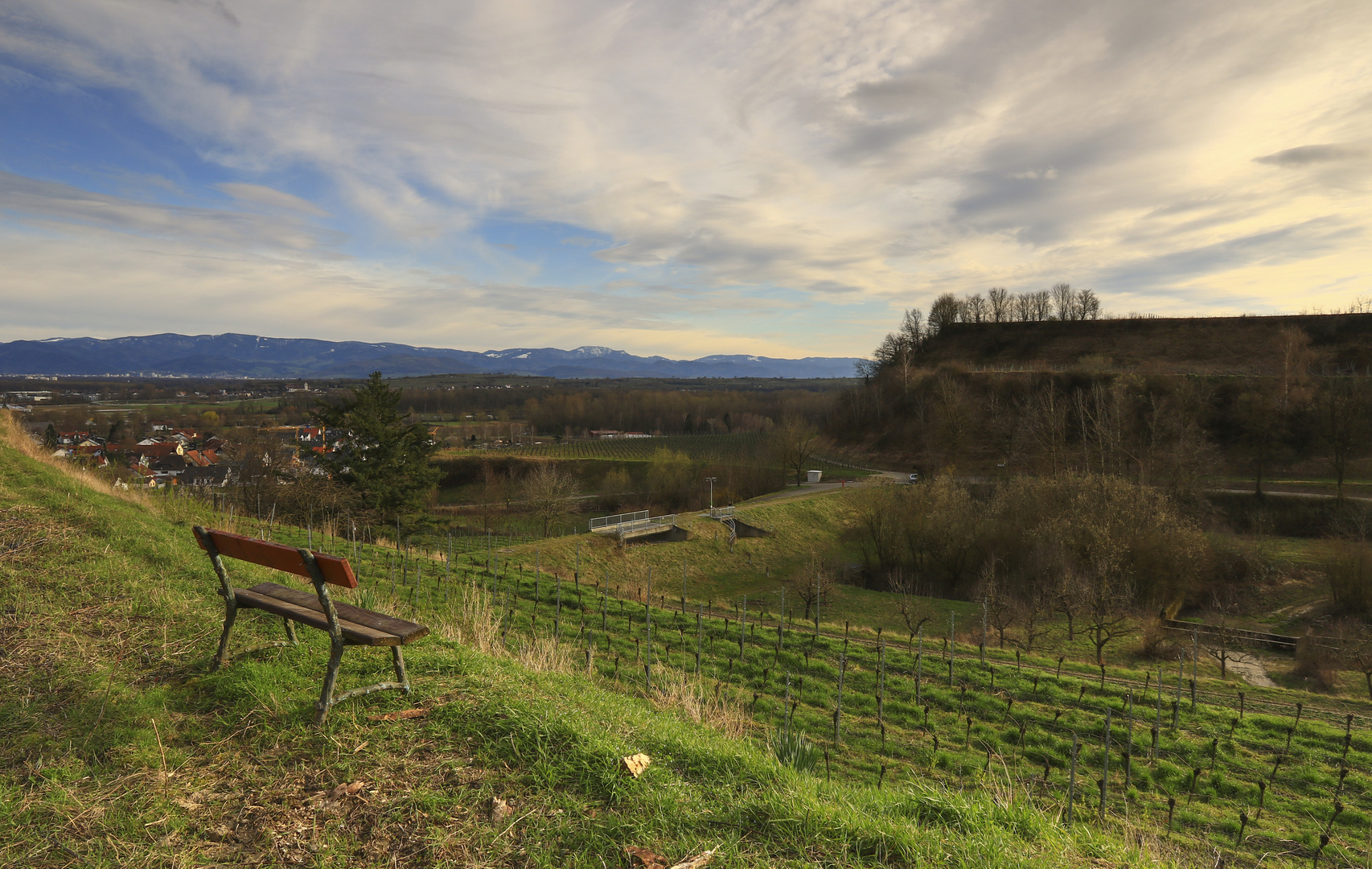 Zarter Frühlingshauch am Kaiserstuhl