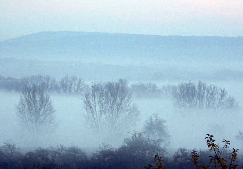 Zarter Morgen - blau