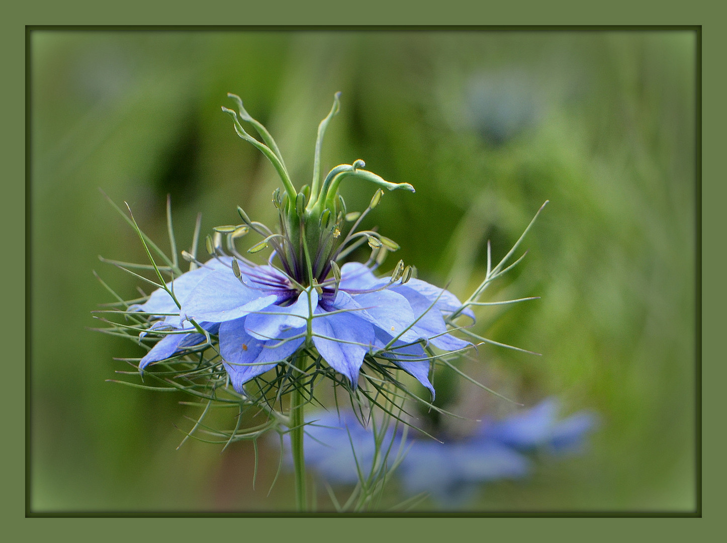 Zartes Blau auf zartem Grün